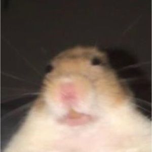 Meet your Posher, Ella